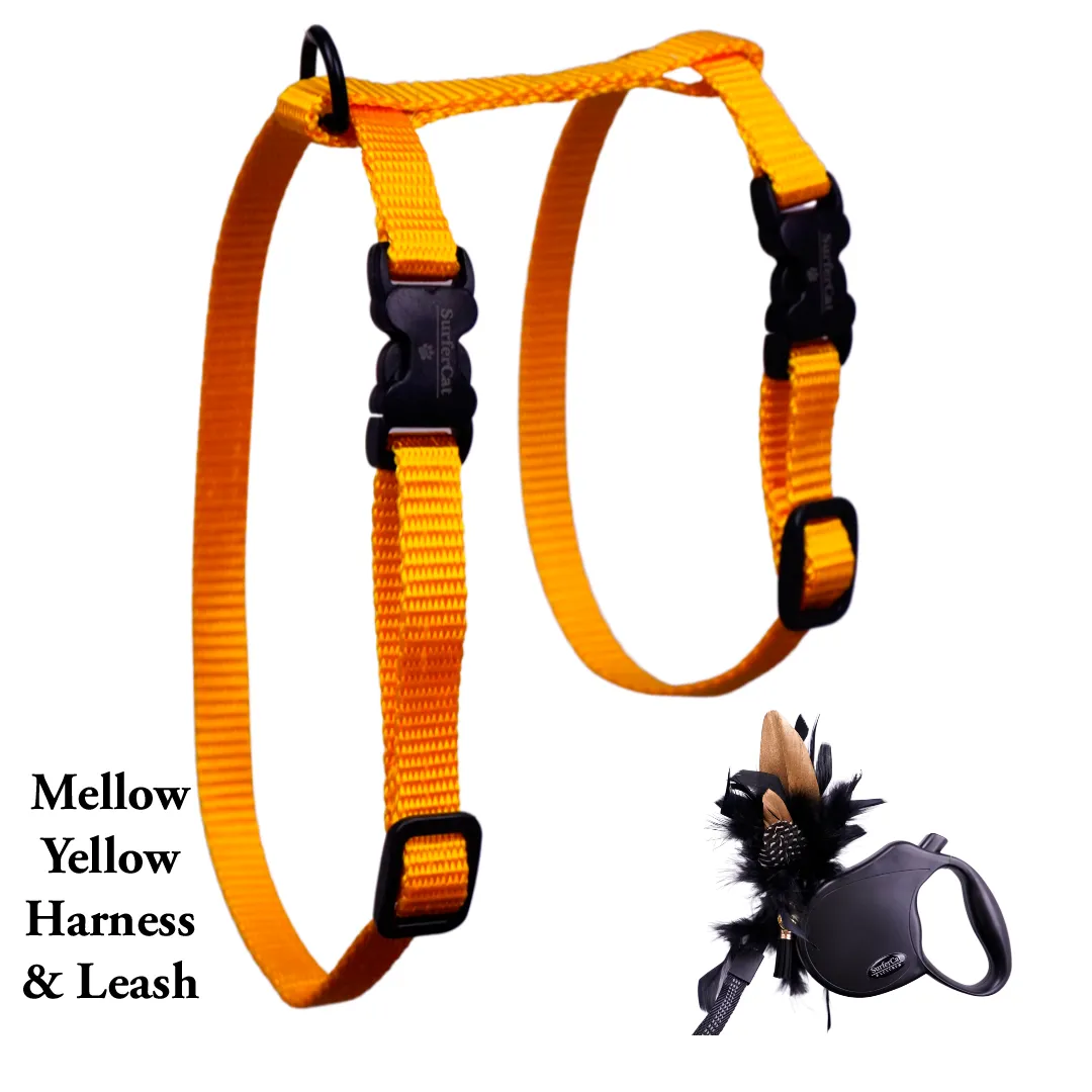 Black Dipped in Gold Leash and Harness Set