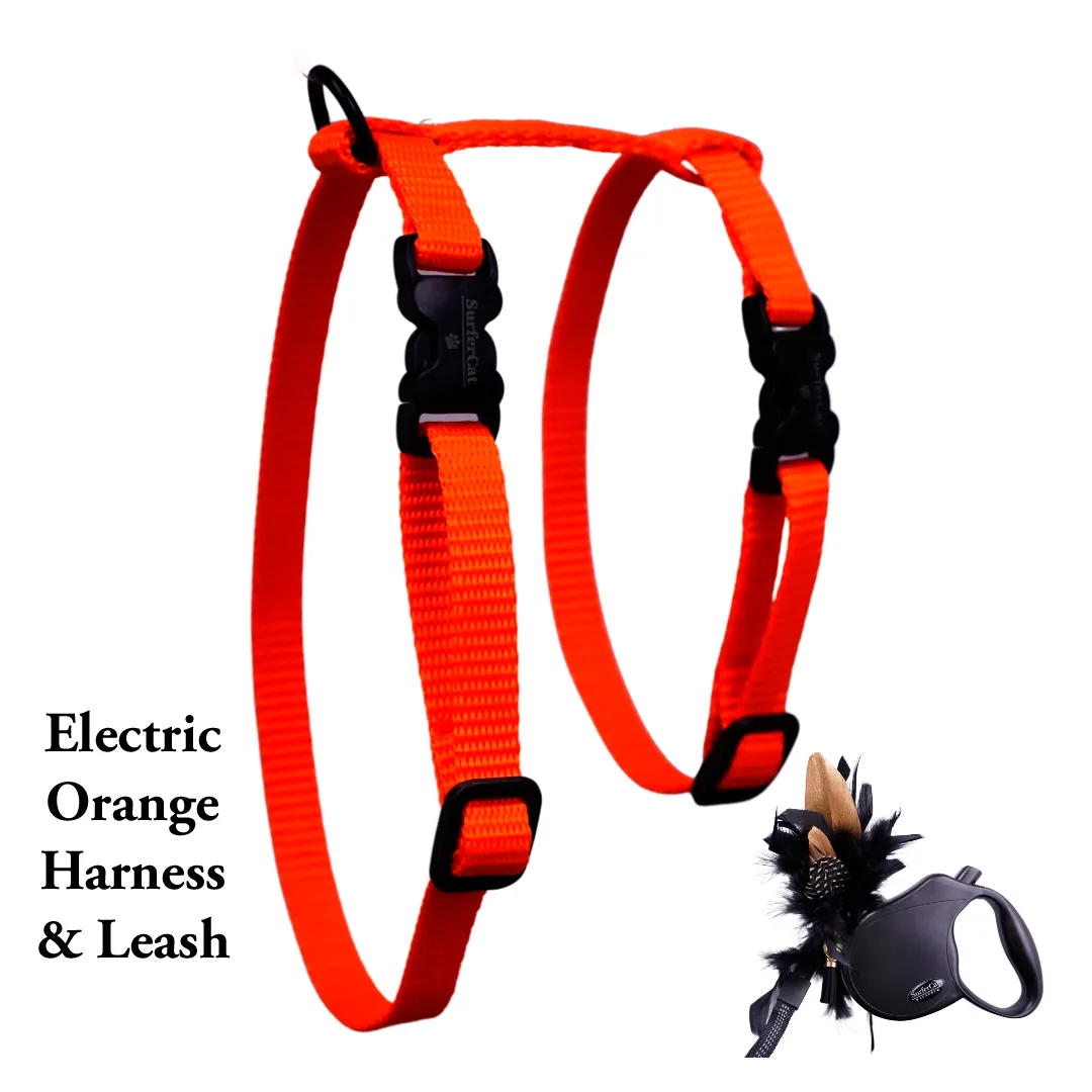 Black Dipped in Gold Leash and Harness Set