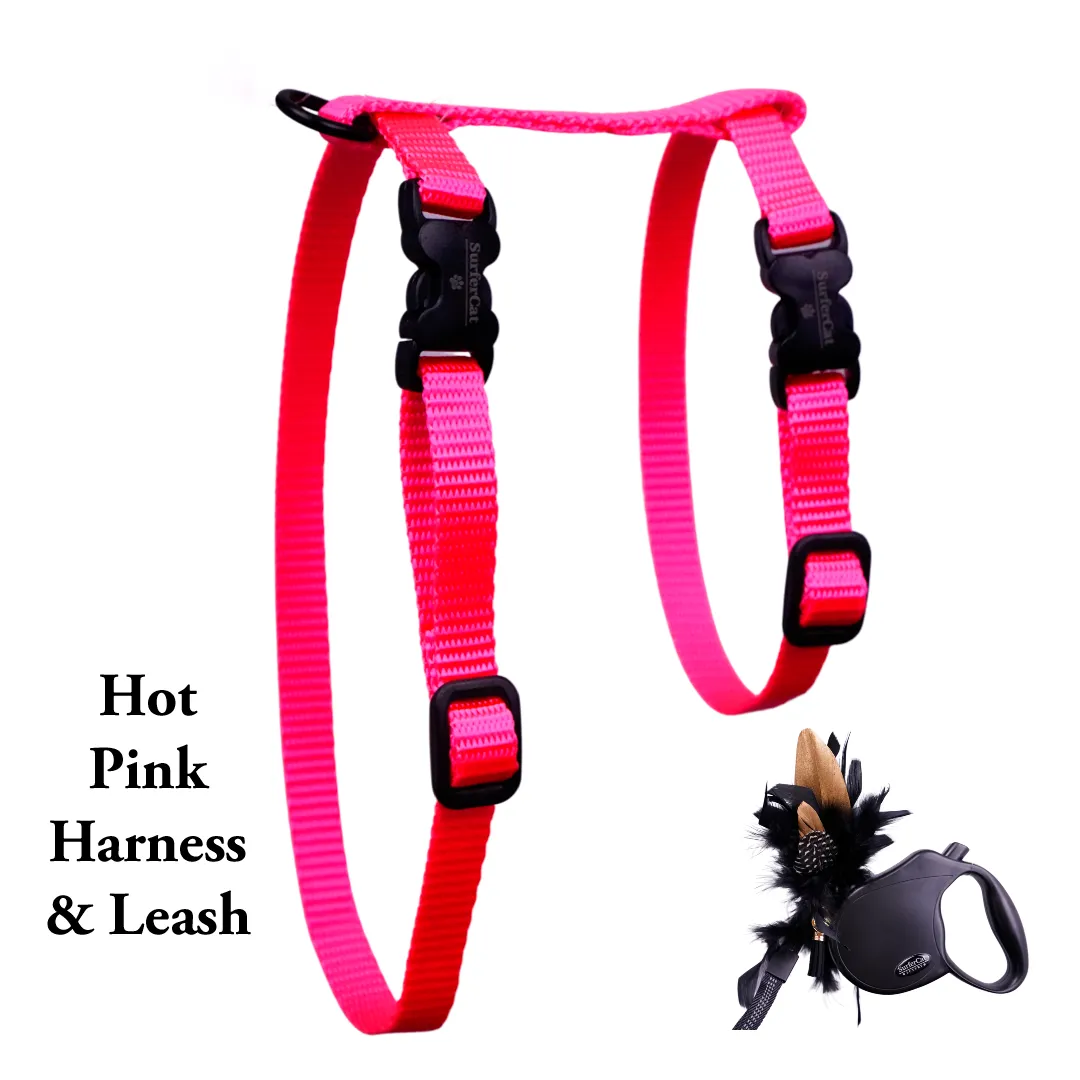 Black Dipped in Gold Leash and Harness Set