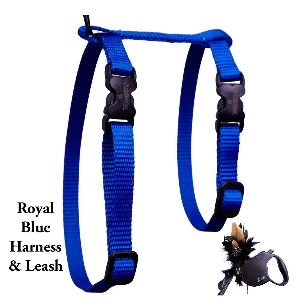 Black Dipped in Gold Leash and Harness Set