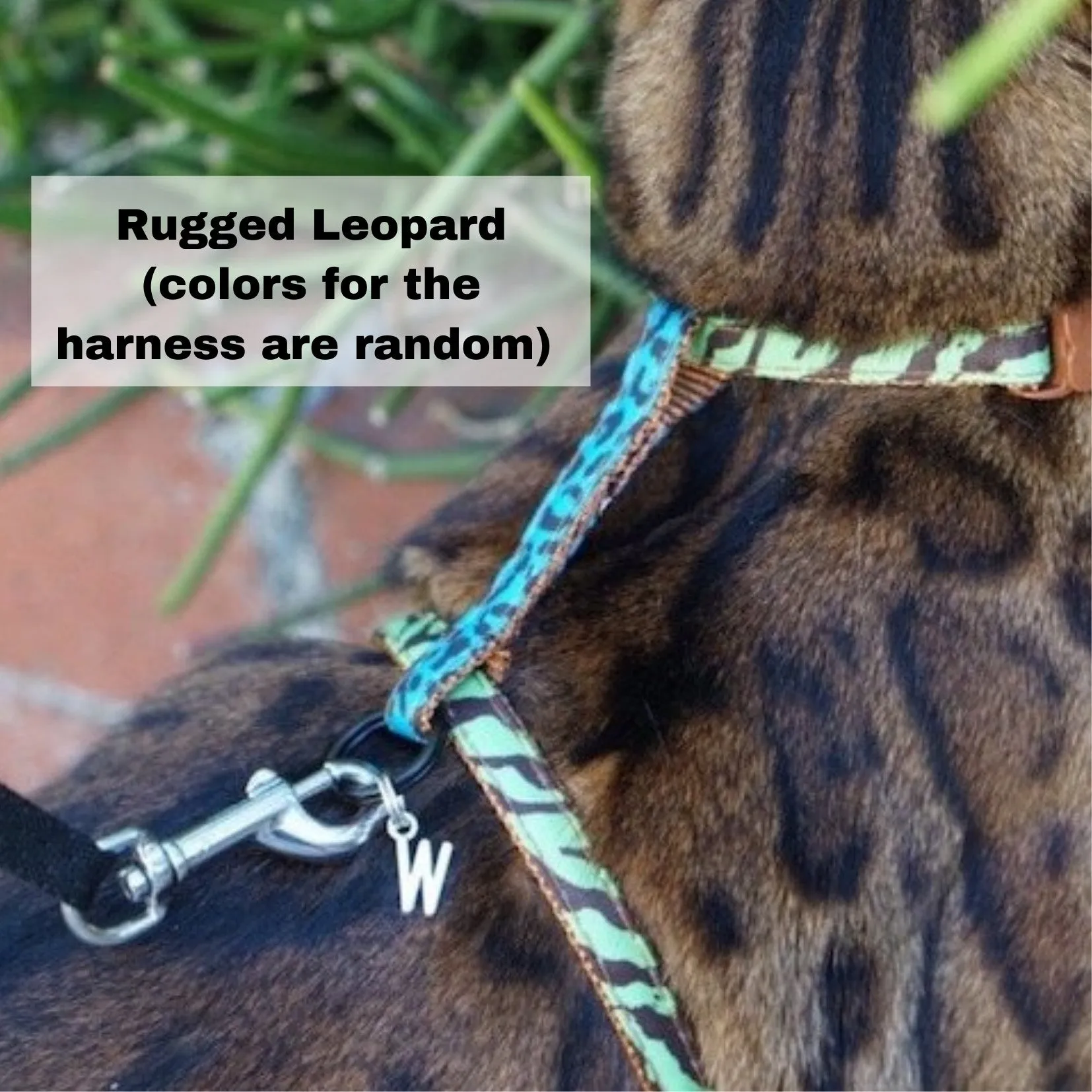 Black Dipped in Gold Leash and Harness Set