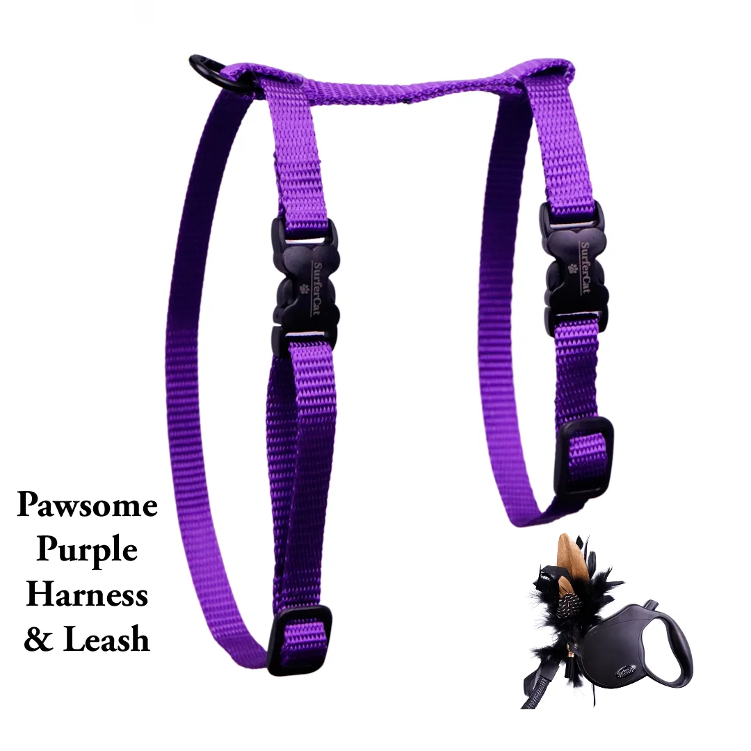 Black Dipped in Gold Leash and Harness Set