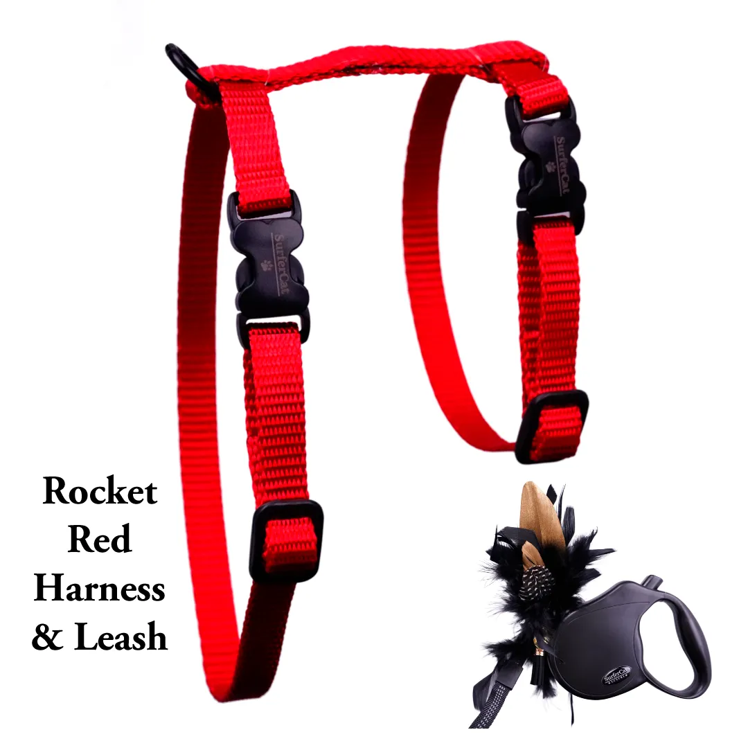 Black Dipped in Gold Leash and Harness Set