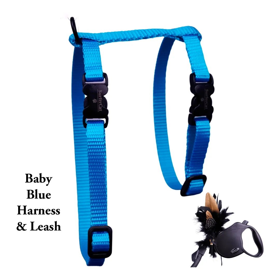 Black Dipped in Gold Leash and Harness Set