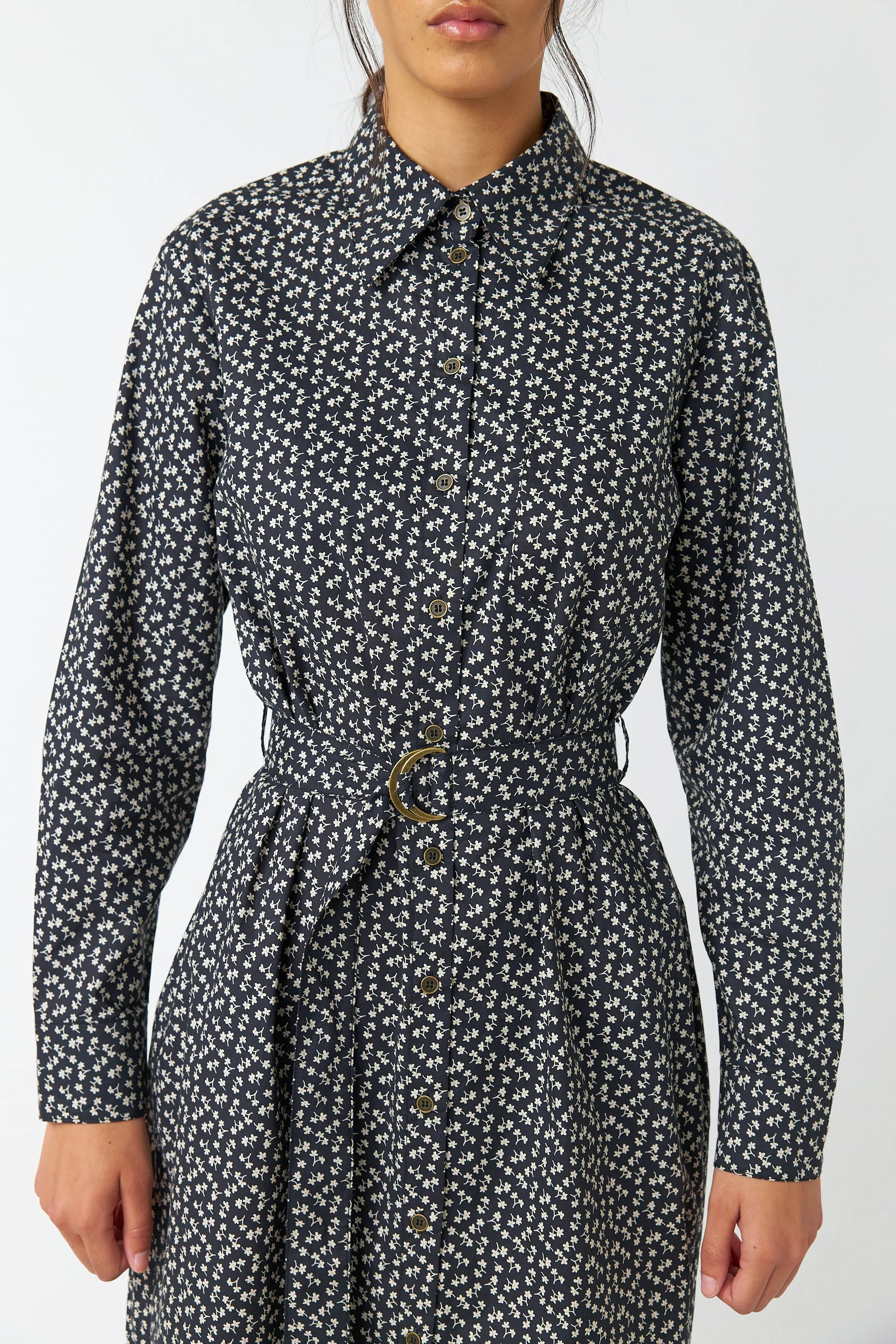Dimity shirt dress