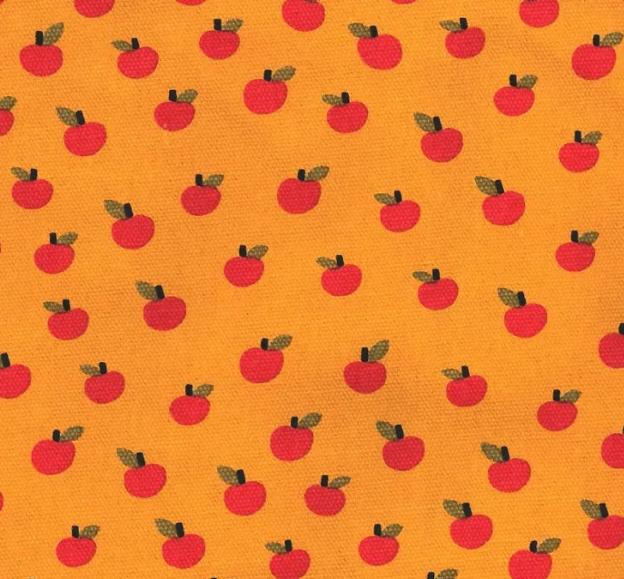 Insulated Pouch Apple