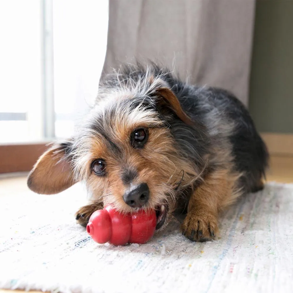 KONG Classic Dog Toy (Classic Medium)