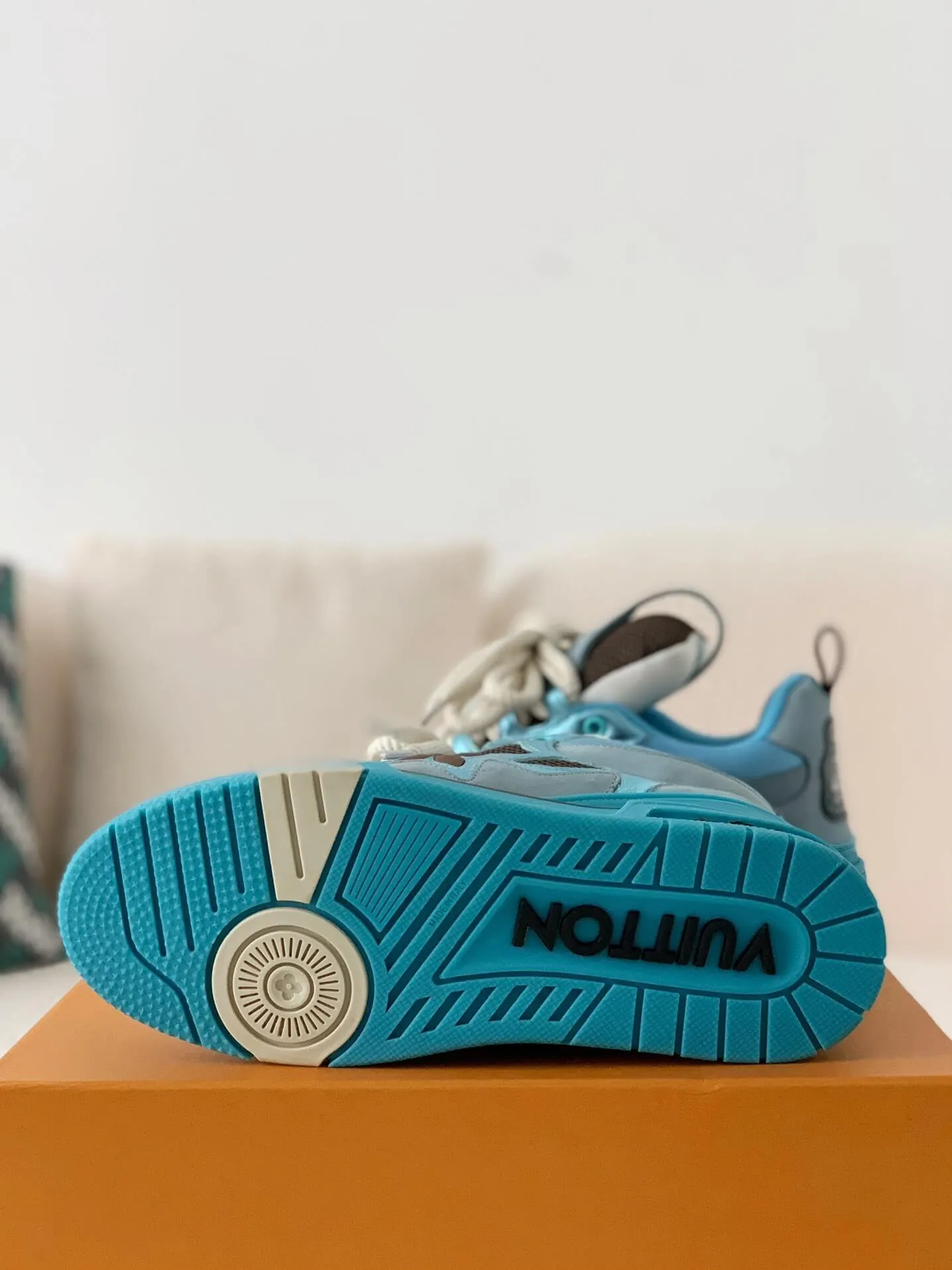Louis Vuitton Skate Trainer Blue Brown Sneakers