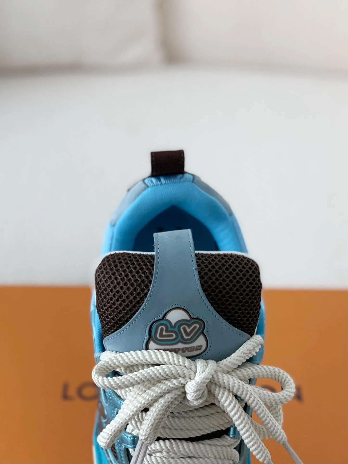 Louis Vuitton Skate Trainer Blue Brown Sneakers