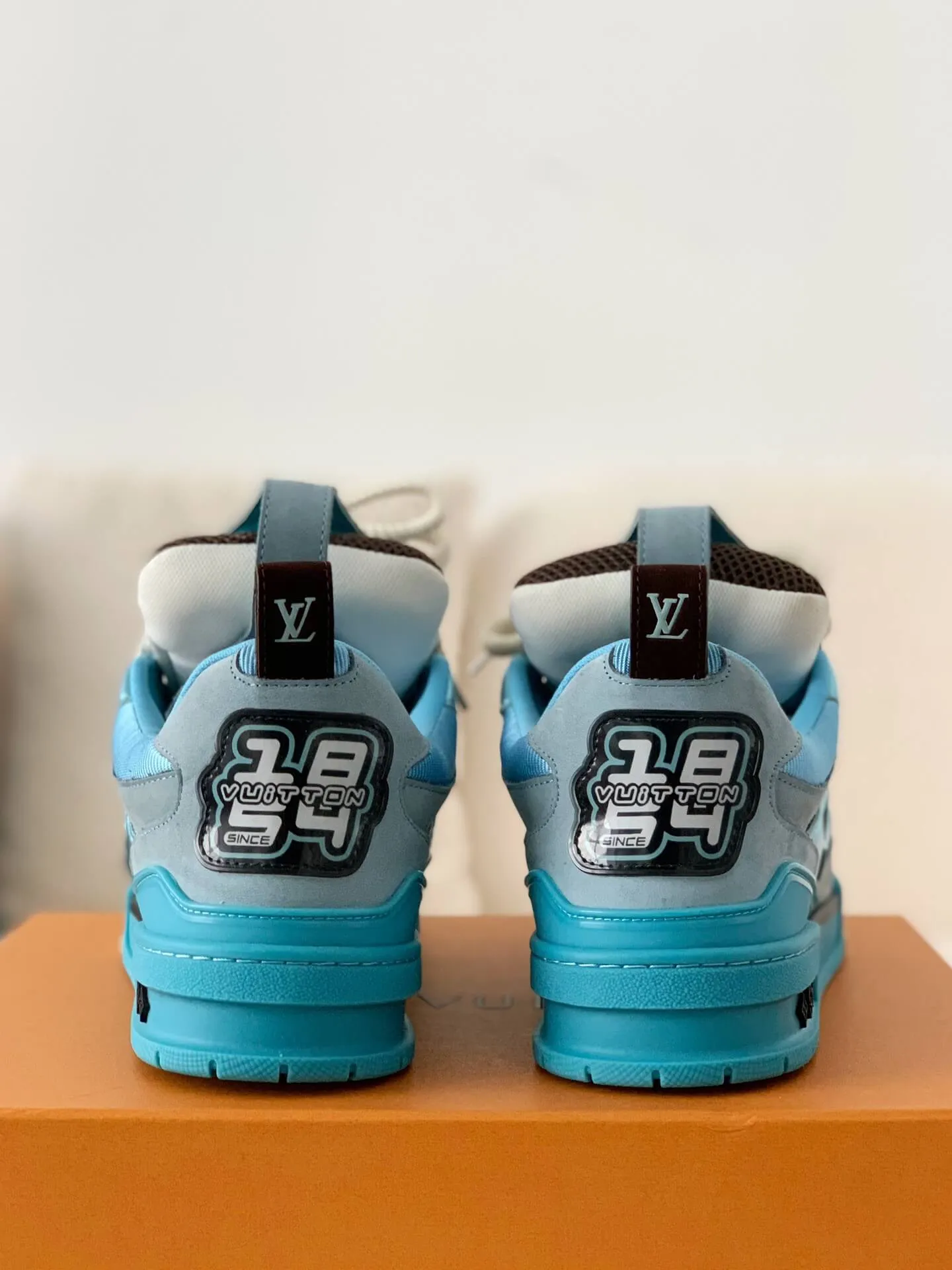 Louis Vuitton Skate Trainer Blue Brown Sneakers