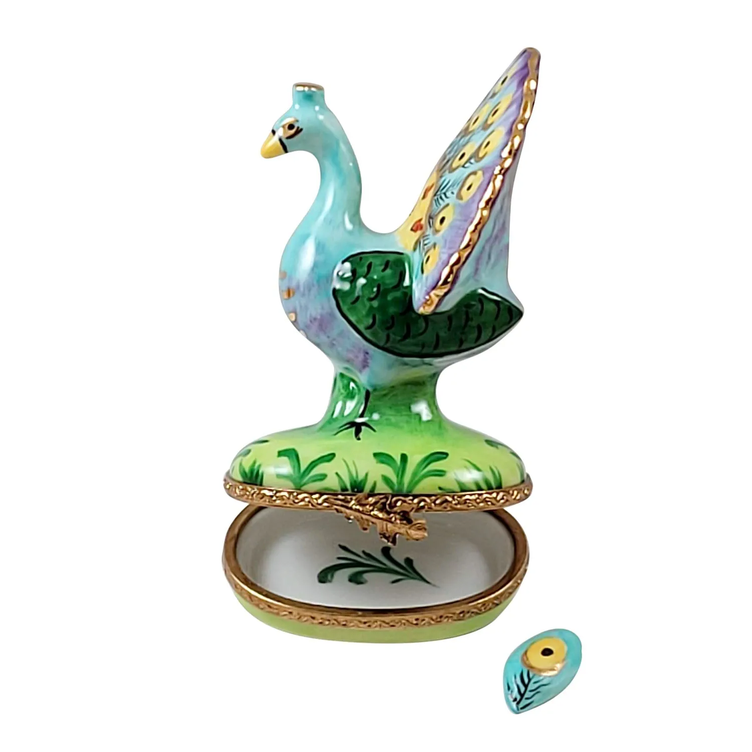 Peacock w Feather