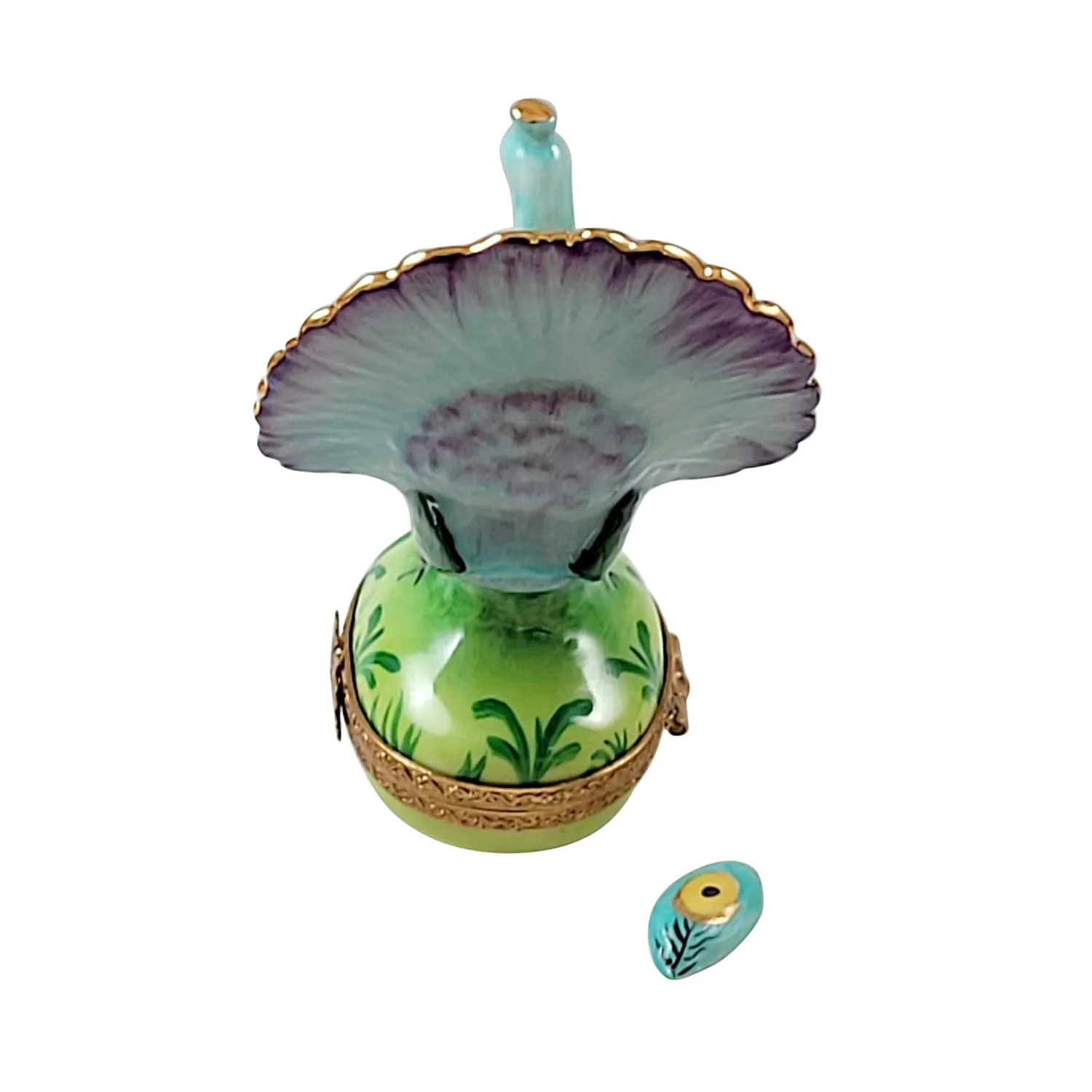 Peacock w Feather