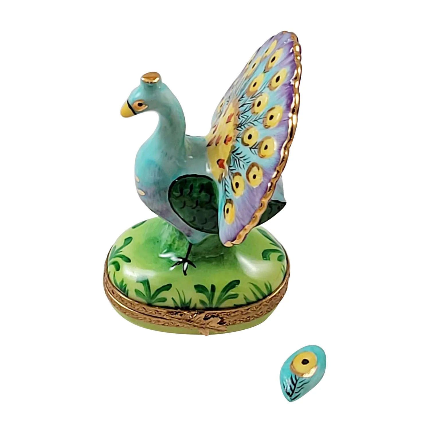 Peacock w Feather