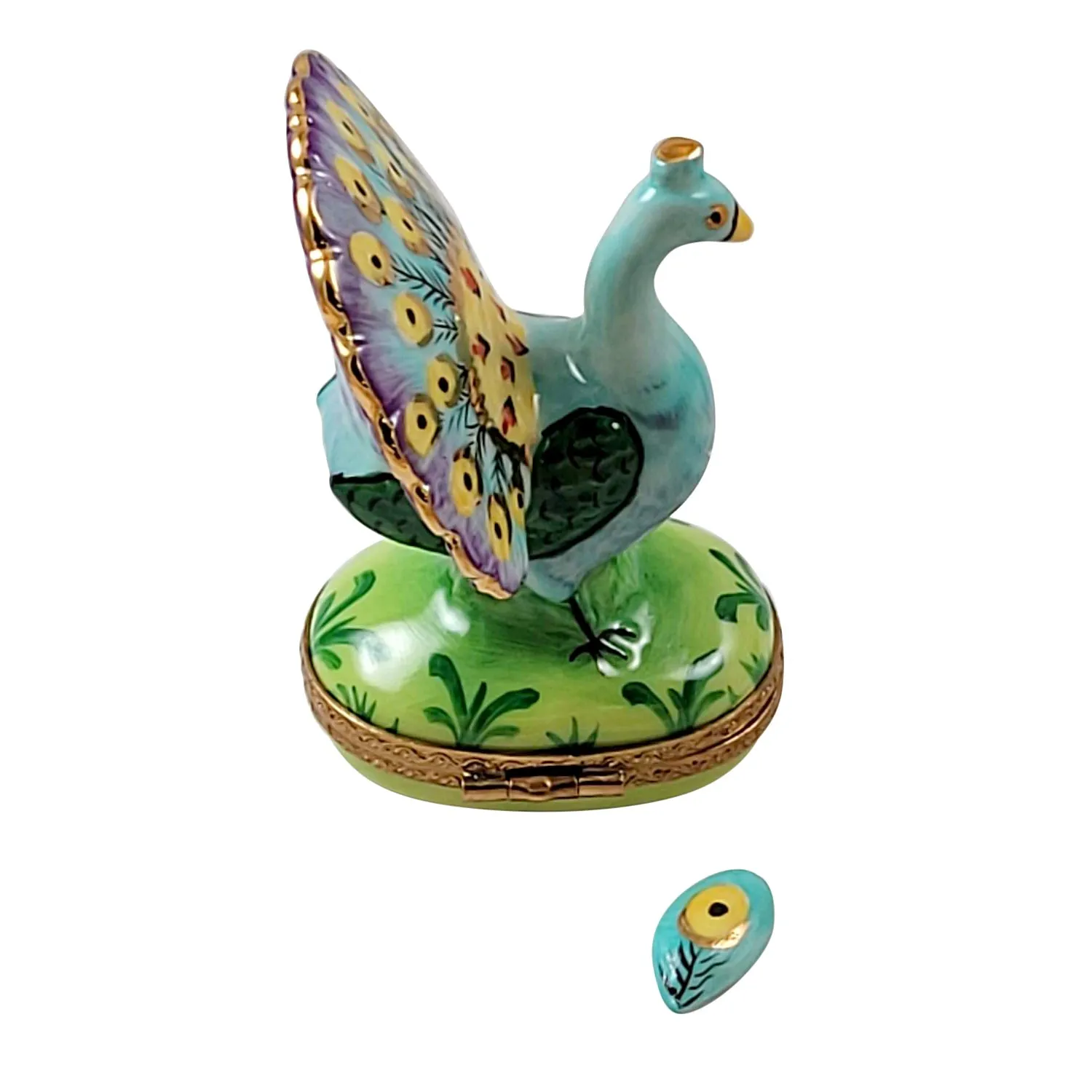 Peacock w Feather
