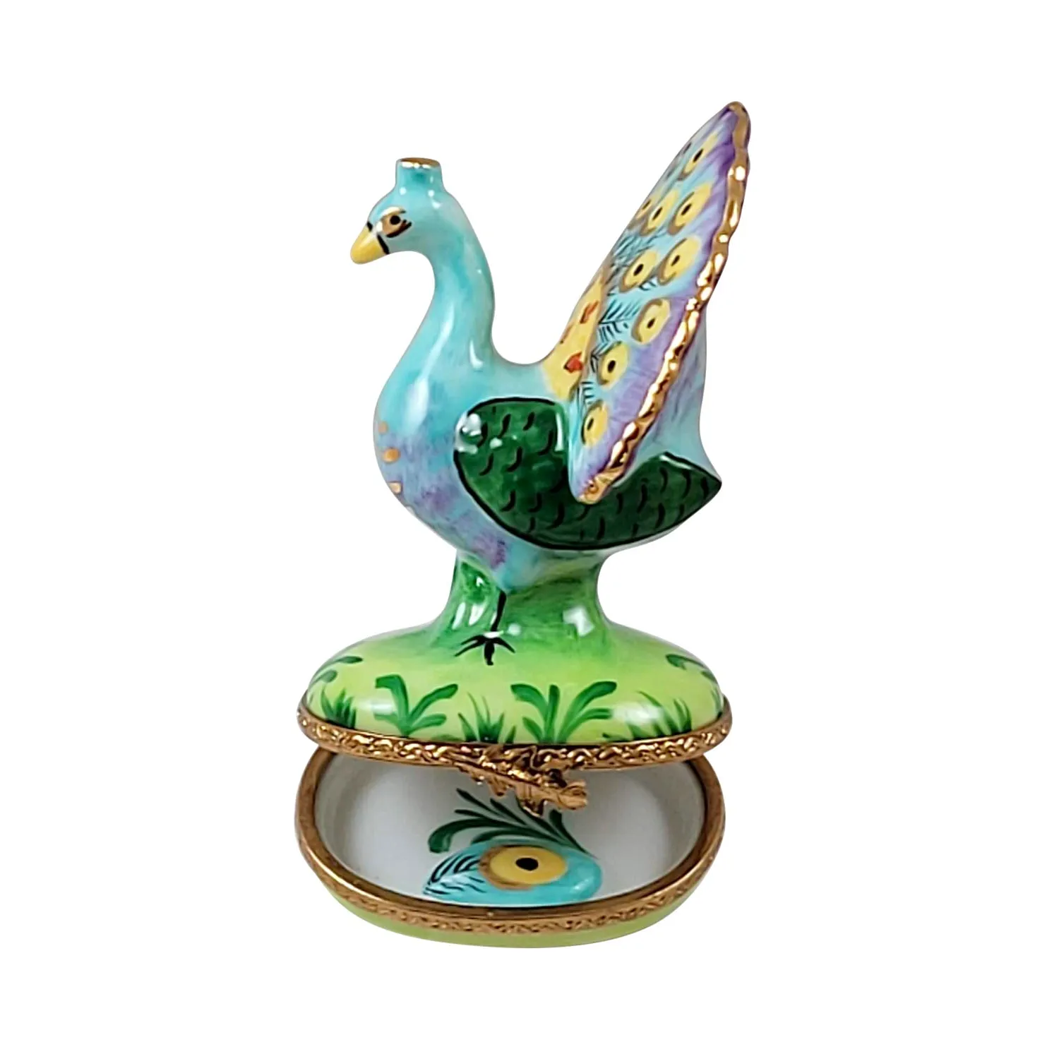 Peacock w Feather