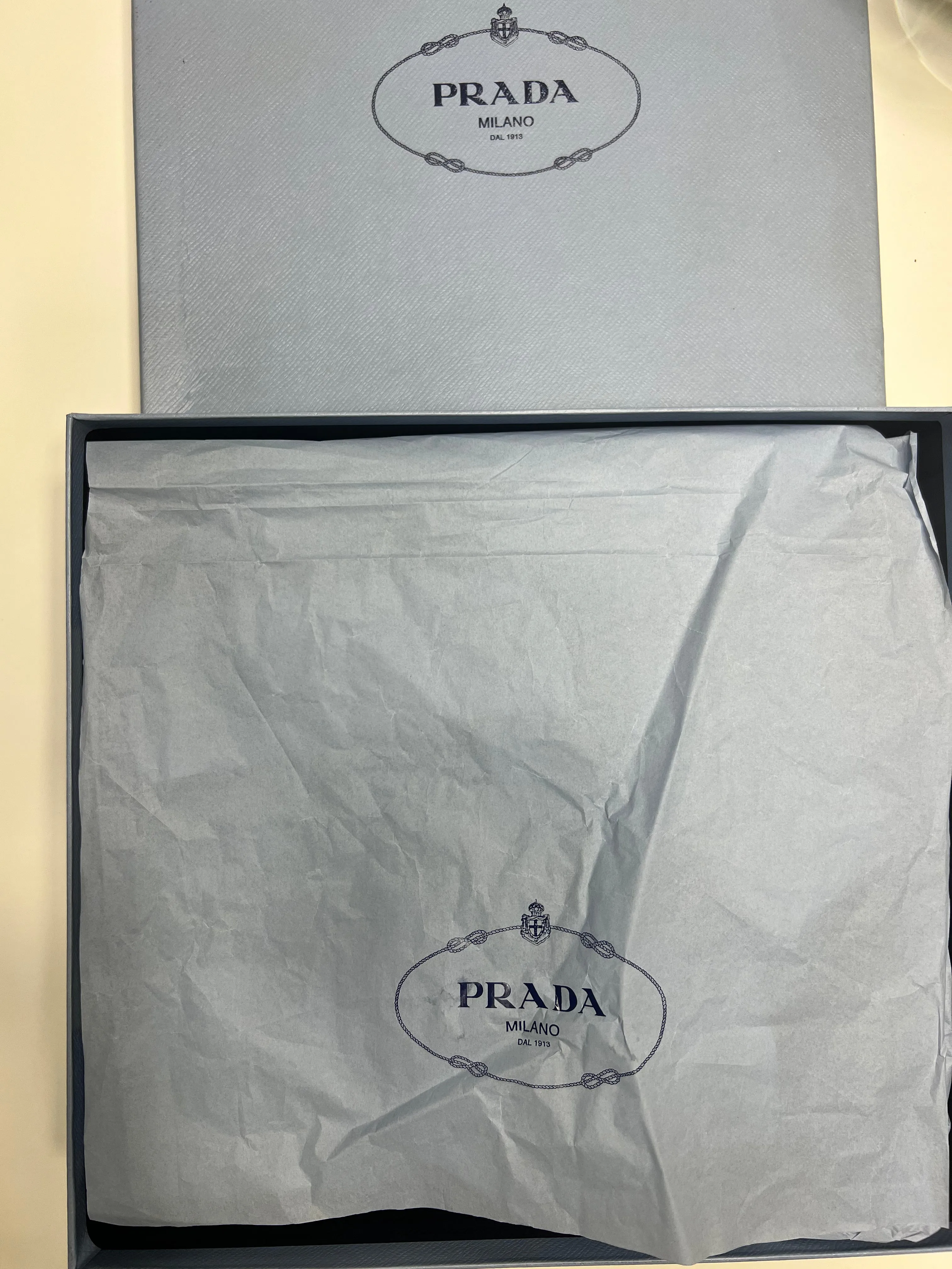 Prada Feather Trainers