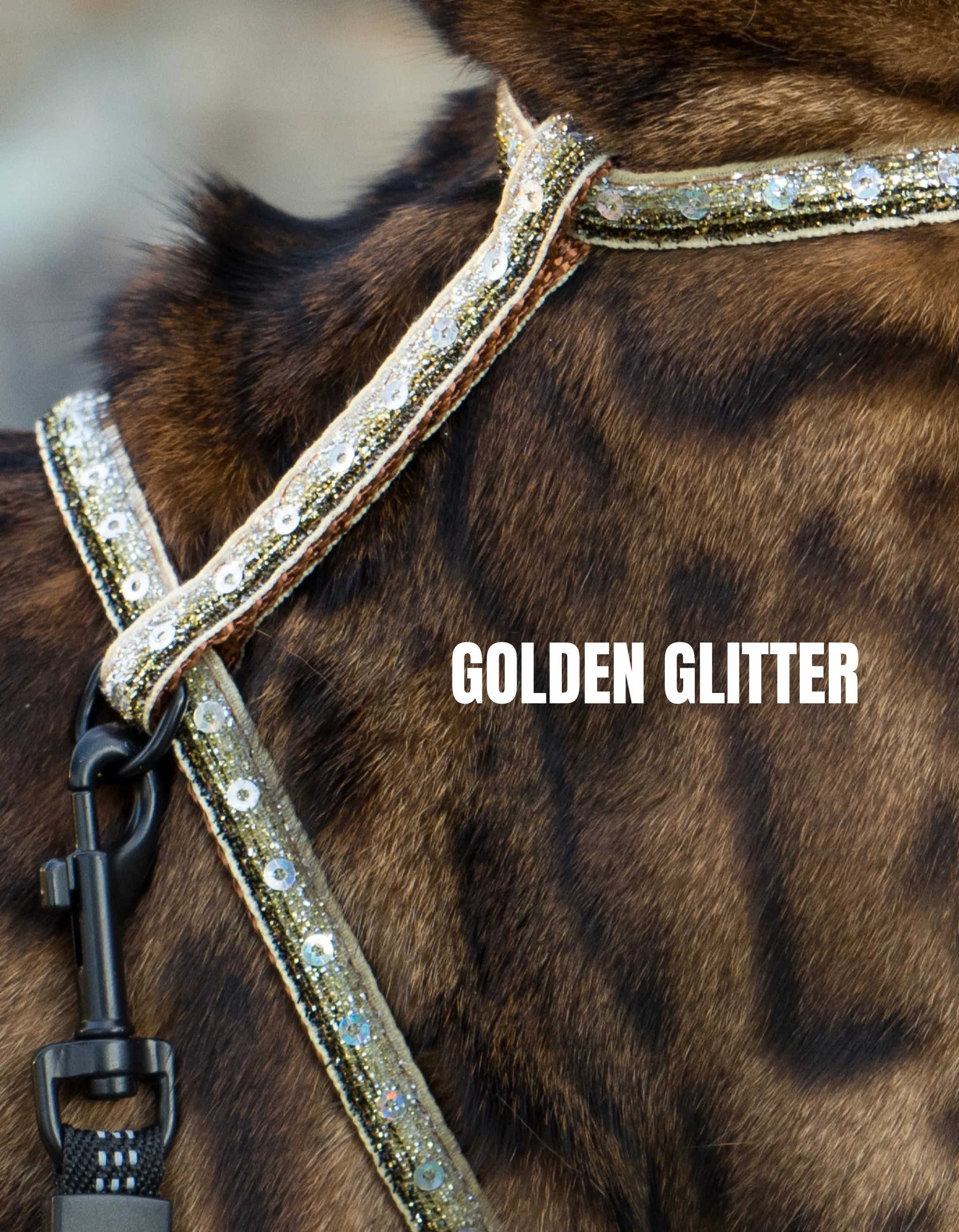White Dipped in Gold Leash Trainer & Golden Glitter Harness Set