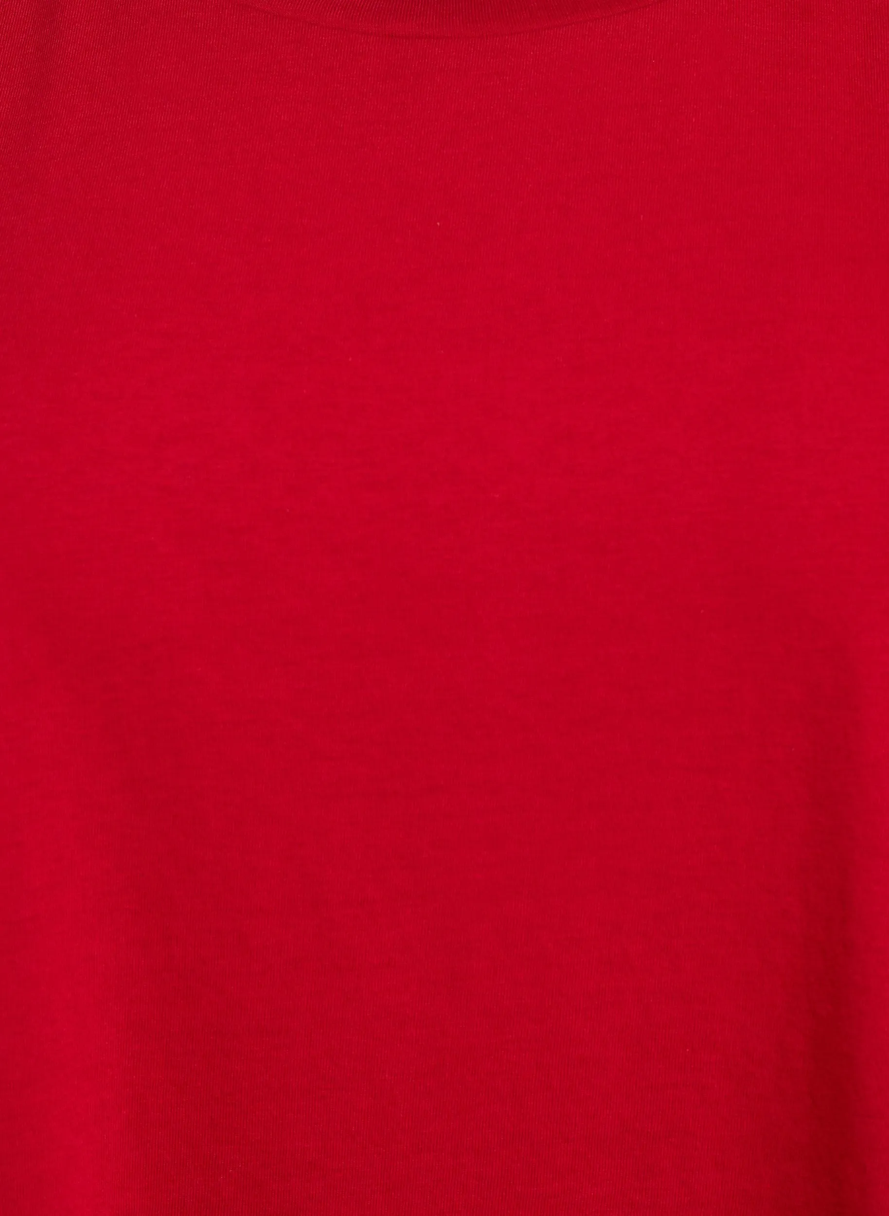 Zizzi Katja T-Shirt in Red